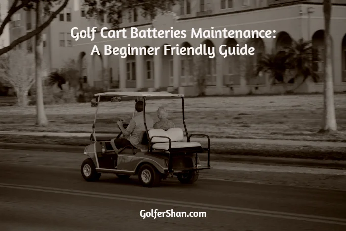 Golf Cart Batteries Maintenance: A Beginner Friendly Guide