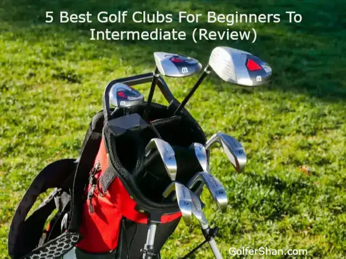 Best Golf Clubs For Beginners To Intermediate 1