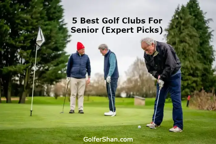 Best Golf Clubs For Senior 1