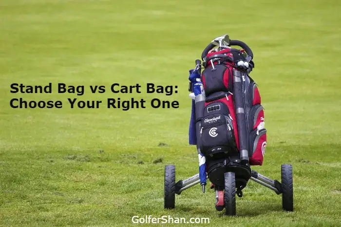 Stand Bag vs Cart Bag 1