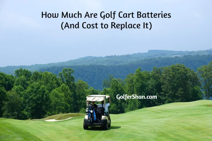 How Much Are Golf Cart Batteries 1